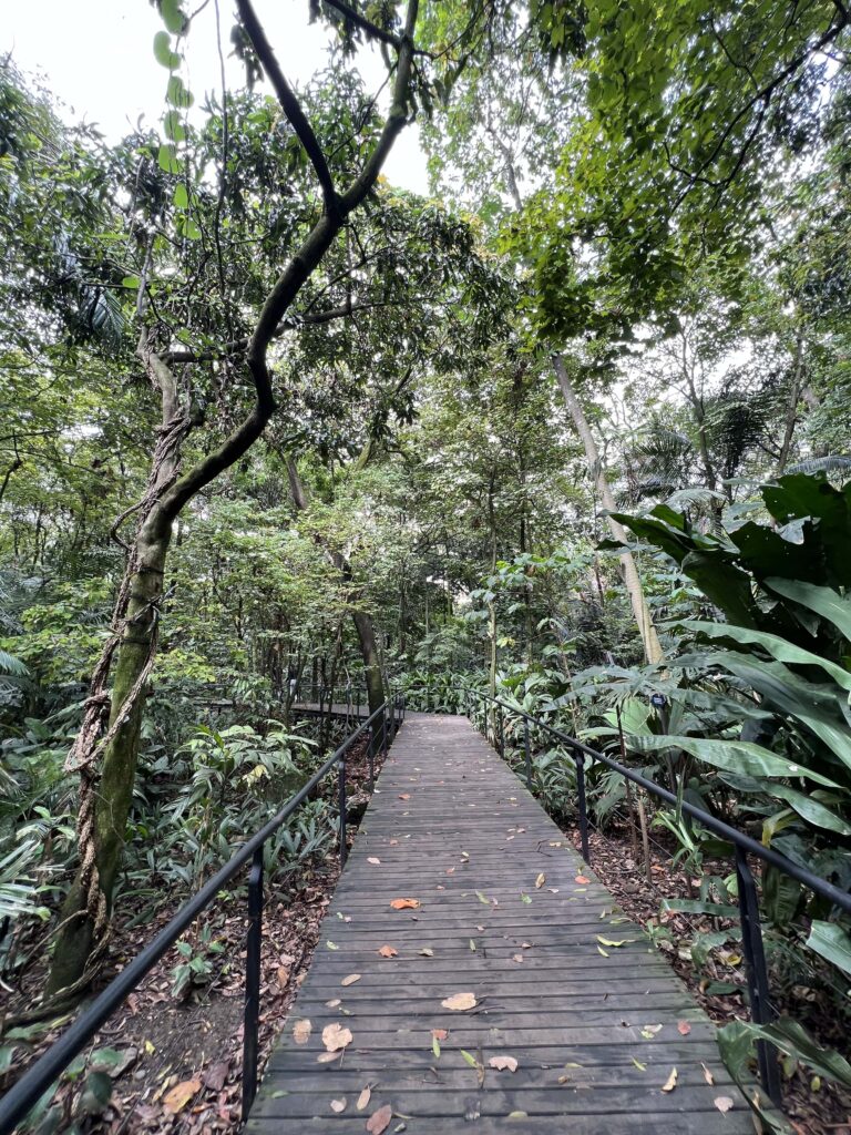 Botanical gardens in Medellin